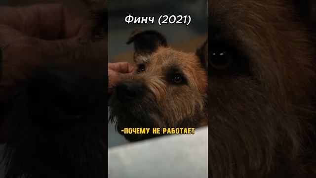 СБОРКА РОБОТА-СПАСИТЕЛЯ | Спасибо за 👍 #denpofamily #фильмы смотреть онлайн