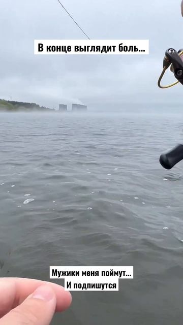 Ловлю Тиляпию 🎣 #fish #fishing #travel #воронеж36 #лайки #микродж смотреть онлайн