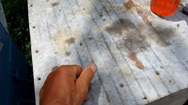 Раньше времени начала сеять подсадная не плодная матк смотреть онлайн