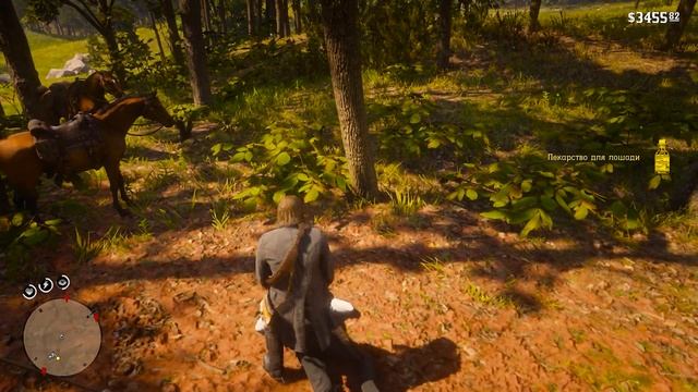 Трагическая миссия:Охота на фокусников. Red Dead Redemption 2 (RDR 2)