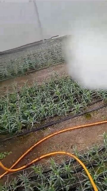 Опрыскиватель бензиновый смотреть онлайн