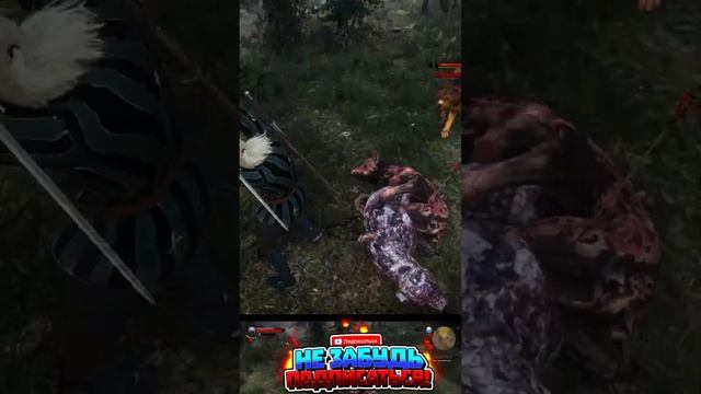 🔴⚡ПРОХОЖДЕНИЕ ВЕДЬМАК 3,С ОДНОЙ ЖИЗНЮ,ДЕНЬ#1!⚡,ЗАЛЕТА смотреть онлайн