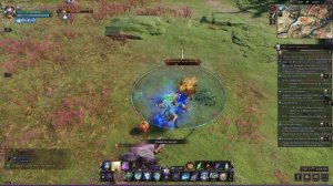 ГАЙД И БИЛД НА ПАЛАДИНА Throne and Liberty (Часть 5)