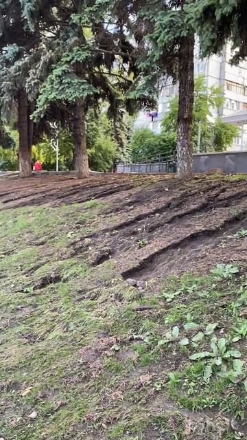 Газон после дождя. смотреть онлайн