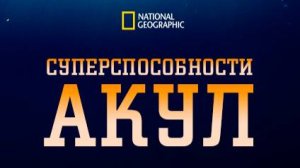 Суперспособности акул | Shark Superpower | NAT Geo