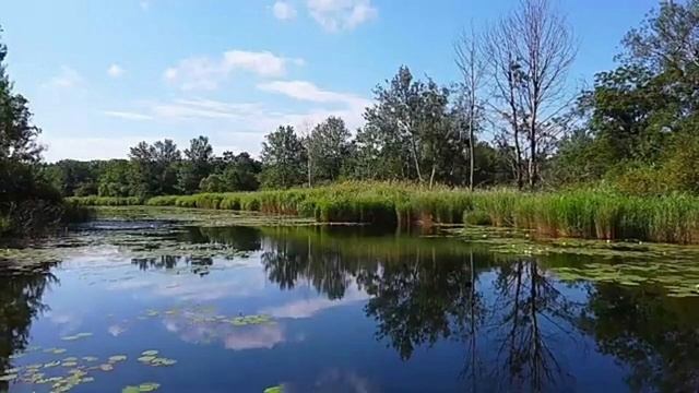 Берега (Українська версія) смотреть онлайн