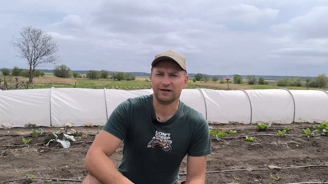 ДРОЖЖЕВАЯ ПОДКОРМКА творит ЧУДЕСА ! смотреть онлайн