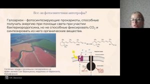 Олимпиадная подготовка по ботанике, занятие 1