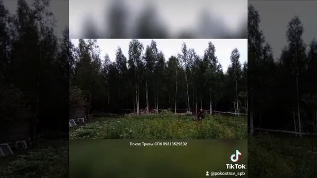 Покос Травы 72 СПб 89313529592 смотреть онлайн