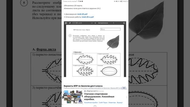 Показываю ВПР по биологии демоверсию 6 класс смотреть онлайн
