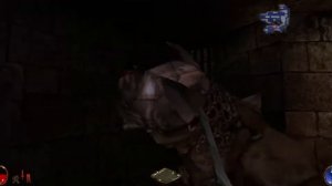 Arx Fatalis Обзор