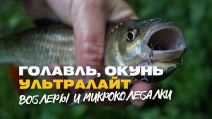 Рыбалка Спиннинг УльтраЛайт Голавль и Окунь на Воблеры и Микроколебалки