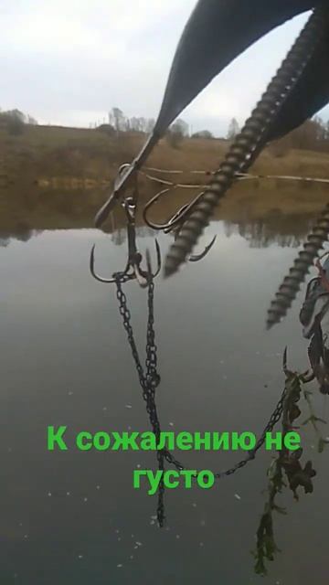 Поисковые грабли сработали #поиск #тренд #хобби #золот? смотреть онлайн