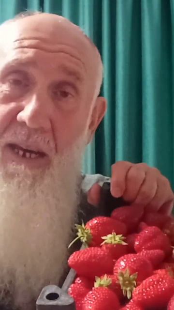 Милость от Аллаха , зло от нас самих , у каждого есть пр? смотреть онлайн