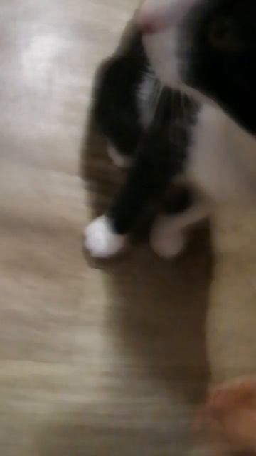 здравствуйте ваш номер телефона получателя на почту и смотреть онлайн