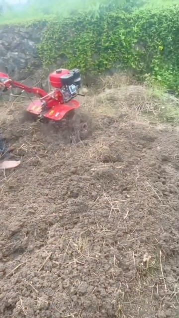 7HP Power weeder #weeder #powertiller #tiller #powerweeder WhatsApp 008615957951777#культи? смотреть онлайн