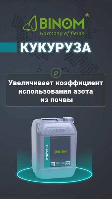 BINOM КУКУРУЗА смотреть онлайн