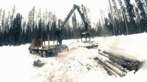 Урал лесовоз ,погрузка сортимента на деляне #лесовоз#р