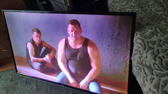 Телевизор TCL.В отличном состоянии. Но почему то стал мо