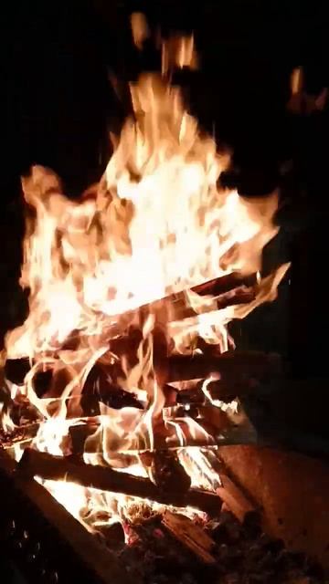 огонь костра смотреть онлайн