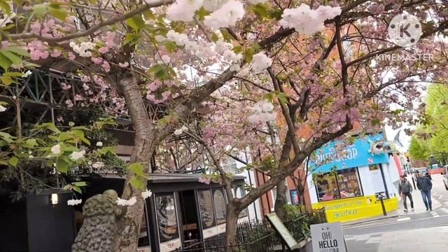 Марина Пыза.Что сказала Саша? Больше не будет посылать смотреть онлайн