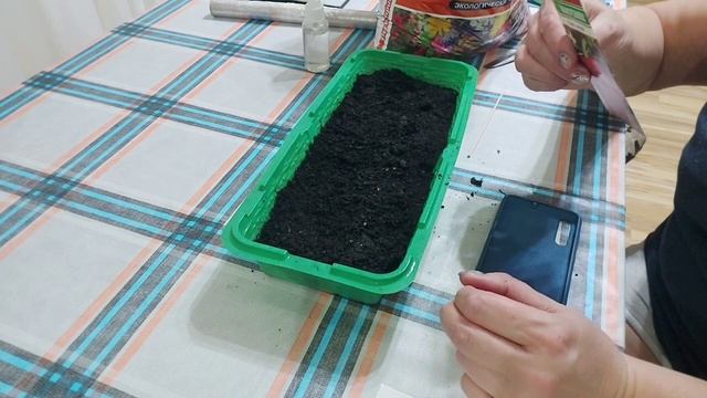 Из архива. Год назад уже семена сеяли и первых индюшат смотреть онлайн