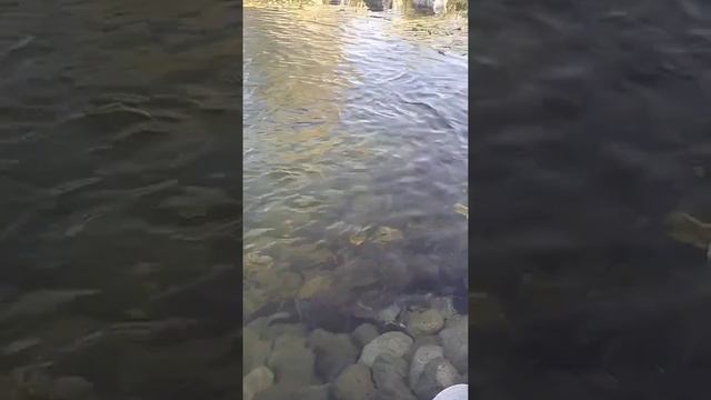 Свой водопад на участке #своимируками #скважина #абисс смотреть онлайн
