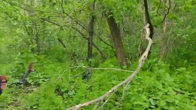 Коп 2025.Поиск с Макро Мульти Крузером ,Nokta FINDX ,Nokta Simplex.На