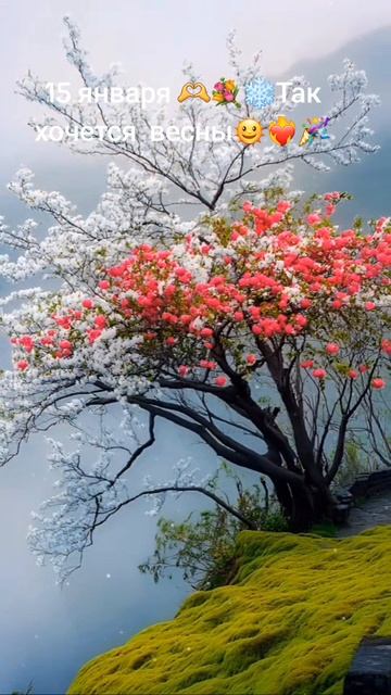 #любимоехобби #подпишись #новыйгод #зима #nature #счастьее смотреть онлайн