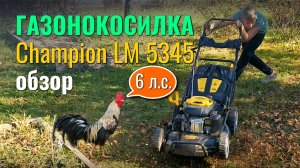 Газонокосилка Champion LM 5345 6 л.с. обзор