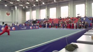 Международный турнир "Московские звезды ушу 2025"