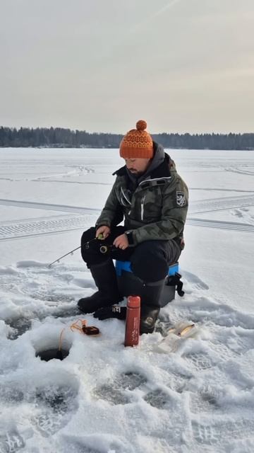 Диалоги о рыбалке #рыбалка #хобби #болтаем #зимняярыба? смотреть онлайн