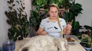 ПЕРЕСАЖИВАЮ алоказии КОРТХАЛСИ и МАХАРАНИ😍 Рассказы