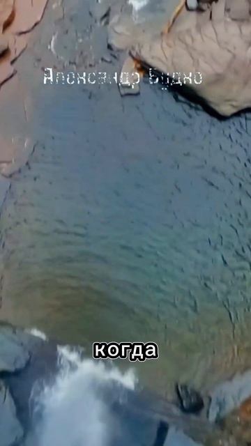 🔥 Есть 4 вида дружбы сказал мудрец 🔥#мудрость #цитаты смотреть онлайн