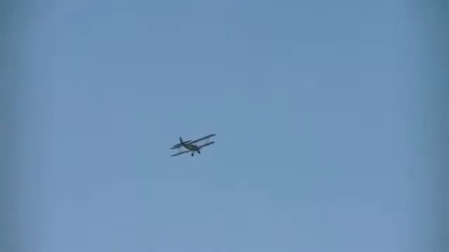 СЛА-2012 в Йошкар-Оле