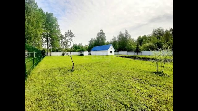 деревня Черницы, Тихая улица, смотреть онлайн