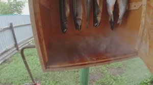 Дымогенератор для холодного копчения своими руками