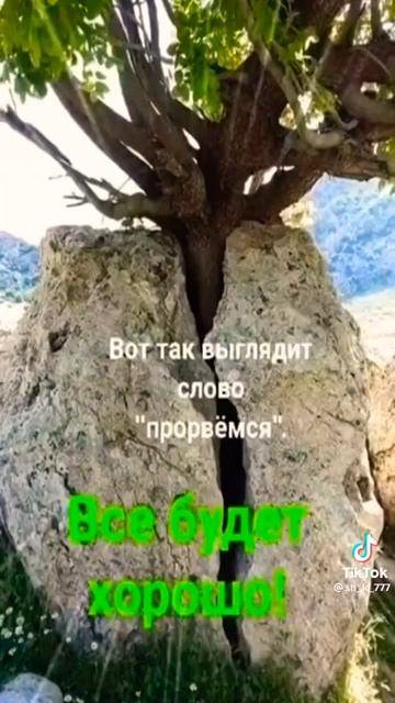 Жизнь есть везде #shorts #nature #чудо смотреть онлайн