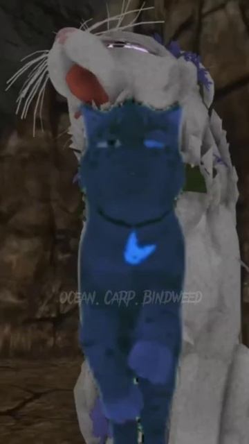 Корохвост и Вьюнок. мои персонажи из котов воителей смотреть онлайн