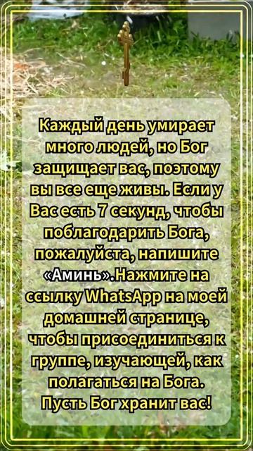 Каждый день умирает много людей, но Бог защищает вас, п смотреть онлайн