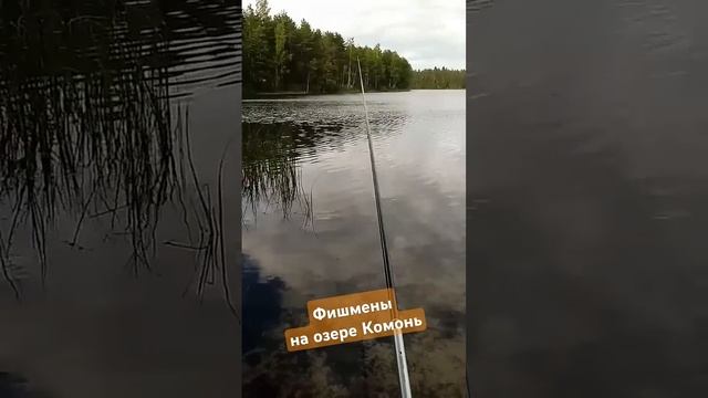 Рыбные места. Рыбу мы везде найдём 🤣🤣🤣 #travel #fishing #ры смотреть онлайн