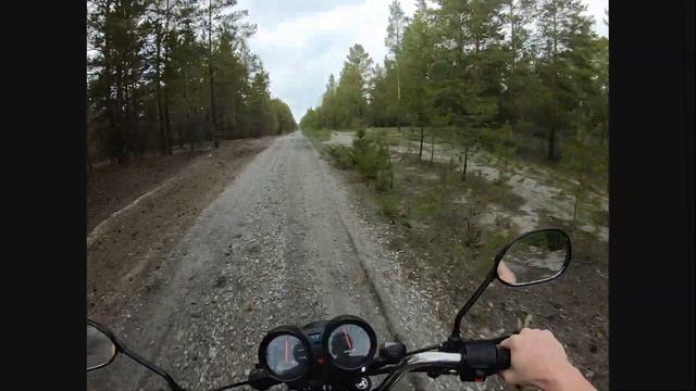 ПОКАТУШКИ ПО ЛЕСУ НА АЛЬФЕ смотреть онлайн