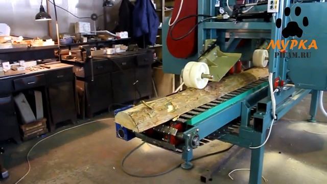 Мурка Ленточно-делительный станок AVG-ЛП-80-2Д с траковым смотреть онлайн