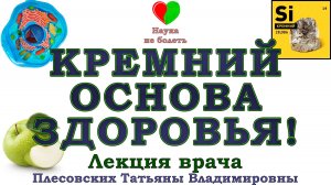 КРЕМНИЙ - ОСНОВА вашего ЗДОРОВЬЯ и ПИТАНИЯ КЛЕТКИ -||- КРЕМНИЙ Польза и Вред