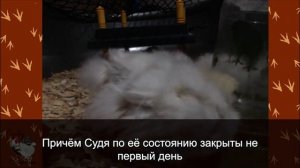 Вернувшись с вахты, заметил, что жена стала ходить в ба