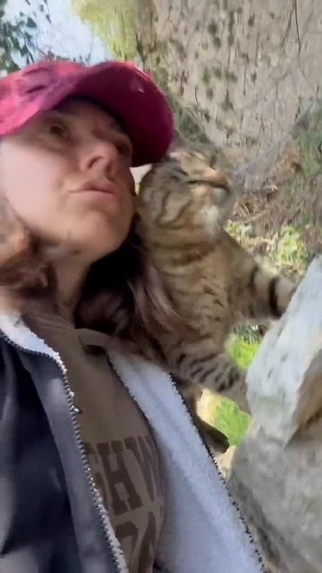 Крымские будни. Яшмовый пляж.Лестница 890 ступенек.Утро смотреть онлайн