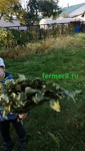 2022 октябрь берёзовый волжский смотреть онлайн