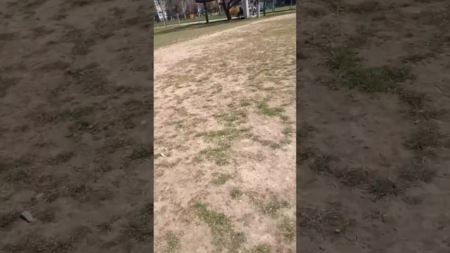 Мой влог хэштег моё утро 3 часть Я иду со школы смотреть онлайн