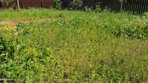 05-06-2025 С мамой на даче // Работаю в две смены)