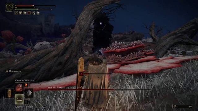 Ночной всадник, Звездные Пустоши, Южная отмель болота Эония (Night's Cavalry)